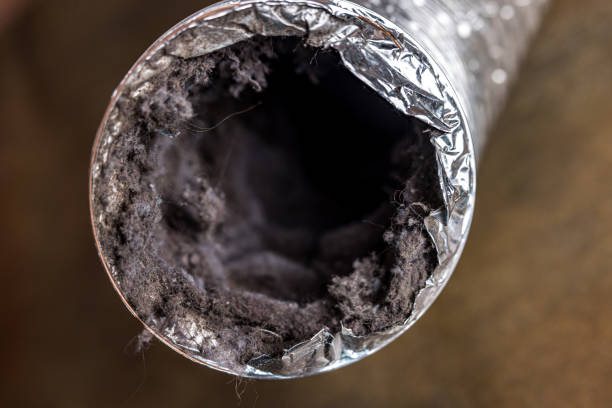 Best Air Duct Cleaning Near Me  in Wauseon, OH