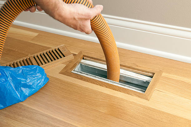 Best Local Air Duct Cleaning Services  in Wauseon, OH