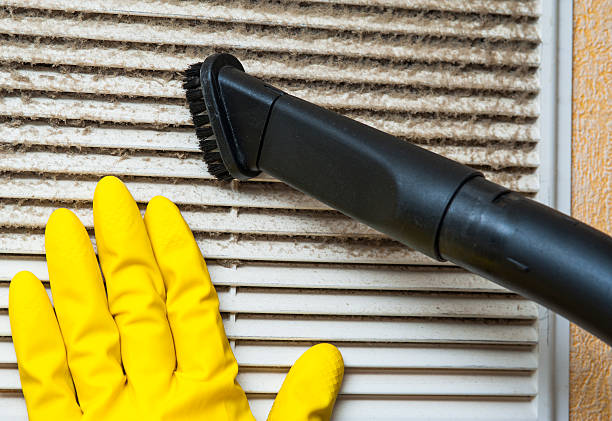 Best Local Air Duct Cleaning Services  in Wauseon, OH