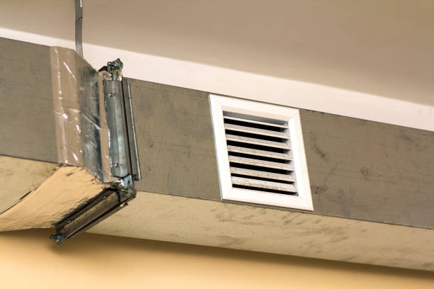 Best Home Air Vent Cleaning  in Wauseon, OH